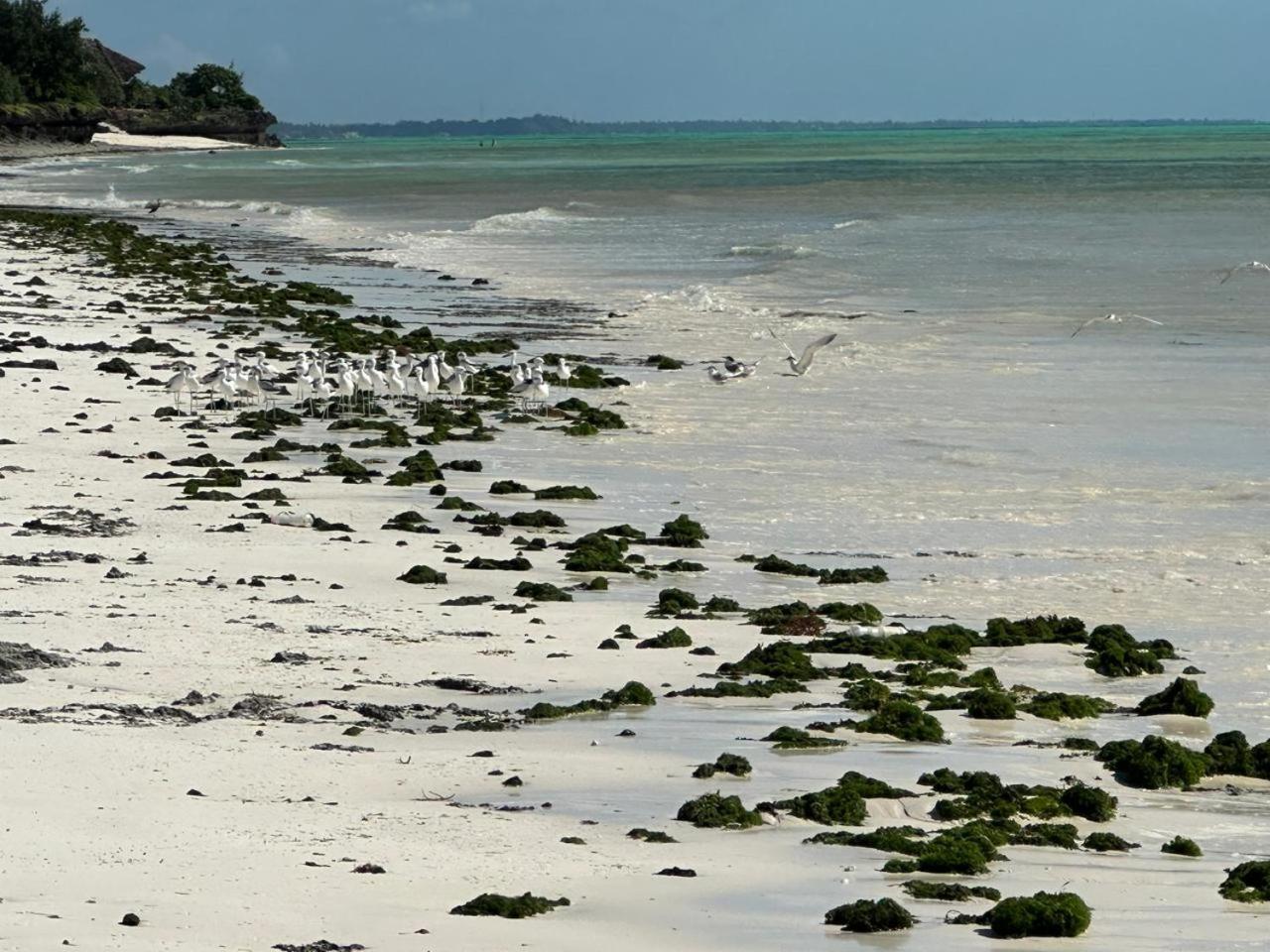 Villa Serenity, Tanzania Unforgettable Паже Екстериор снимка
